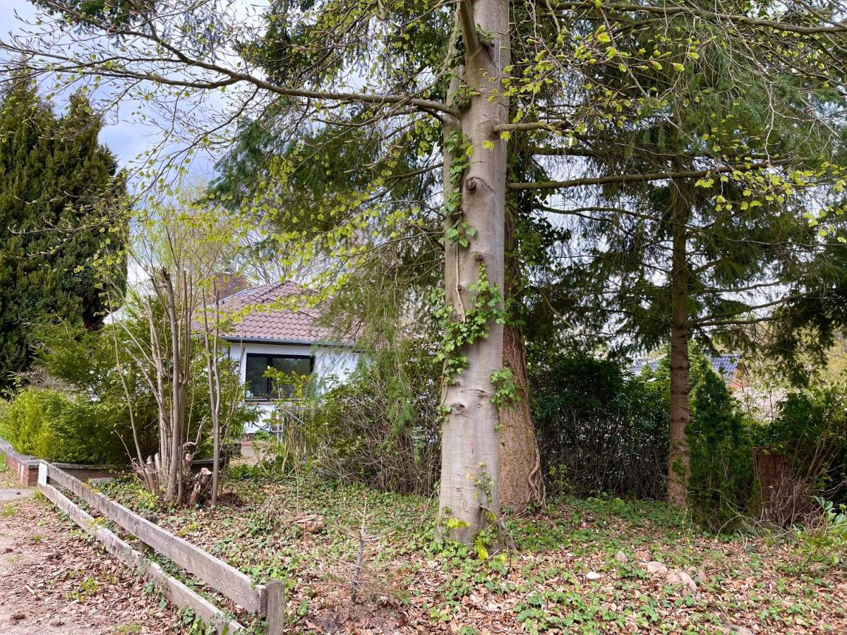 Ferienwohnung Hitzacker/Elbe Dış mekan fotoğraf